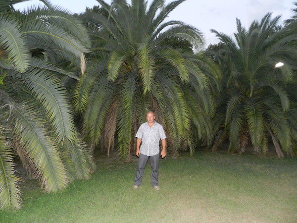 Евгений Козиков