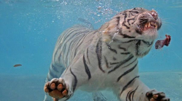 Сергей Иванов