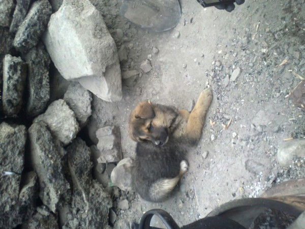 Исмаил Имамов