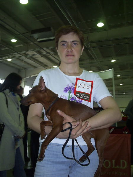 Наталья Фрейдман