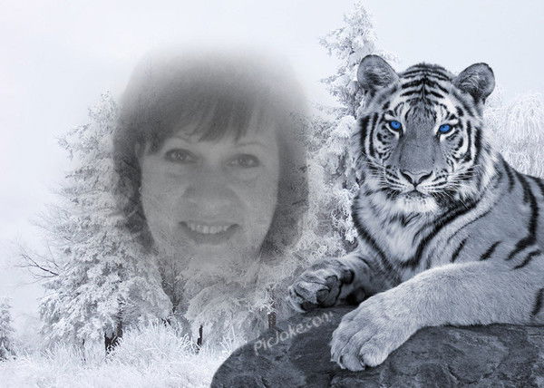 Елена Галушко