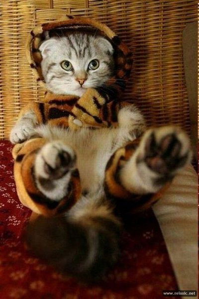 Cветлана Бойко