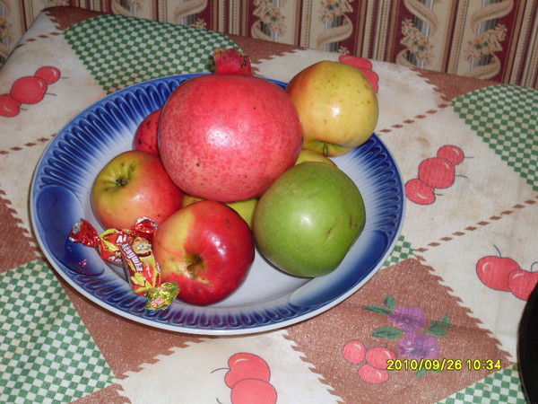 Вера Кирпичева