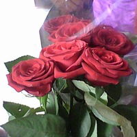 Диана Исмаилова