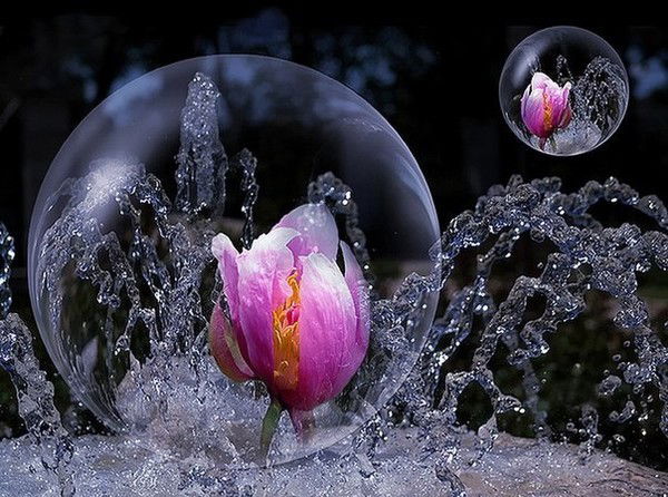 Ольга Солдатова