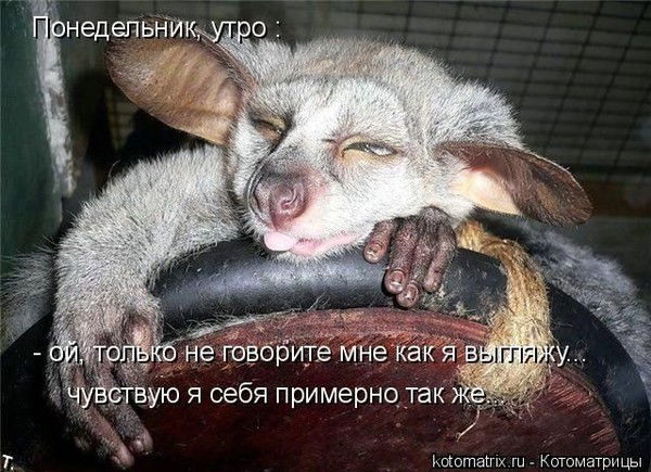 Неизвестно Неизвестно