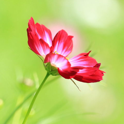 Менеджер Андрей