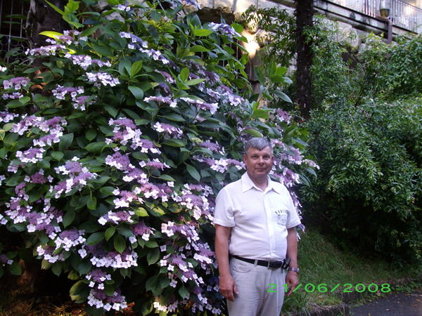 Андрей Колесников