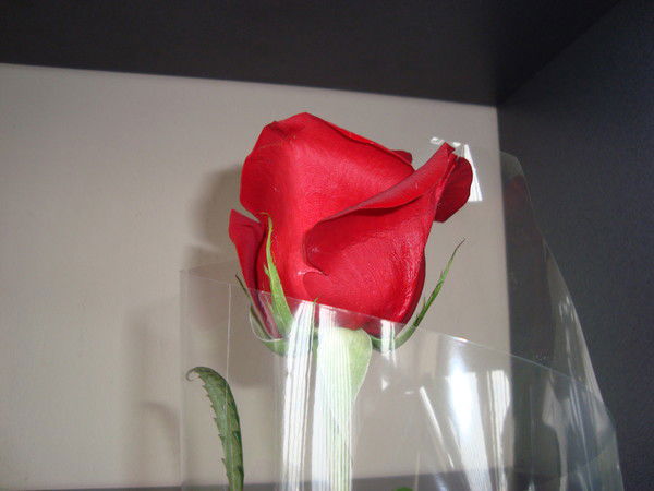 Инна Нартова