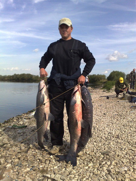 Александр Мишин