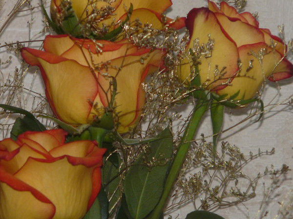 Наталья Наталья