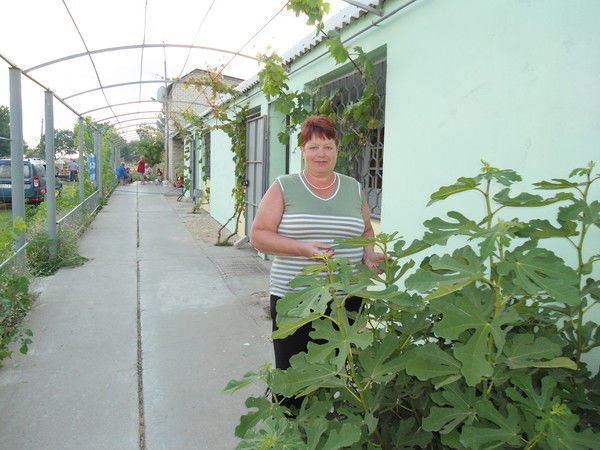 Ольга@ Ситнов@