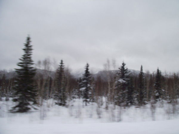 Валерий Стрекозин