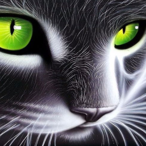 Снигур Татьяна