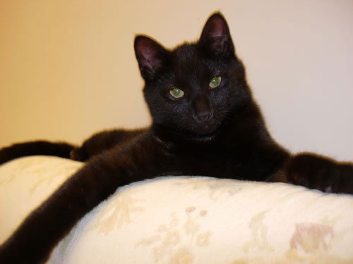 Валентина Воробьева