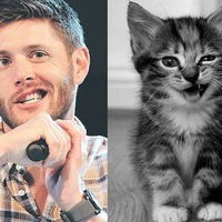 Алёна Матвеева