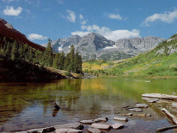 Д. Степченко