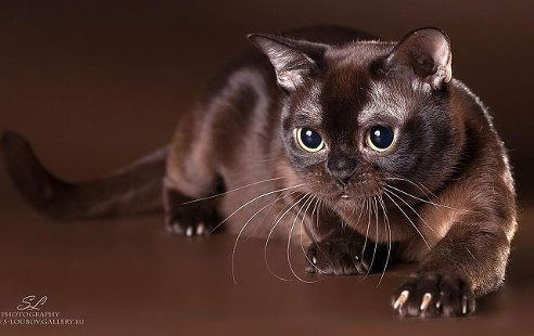 Наталья Наталья