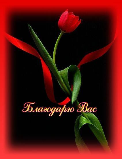 Данияр Токсанбаев