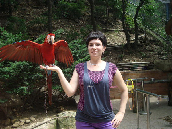 Елена Дайнега