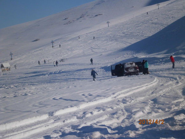 Никита Палаткин