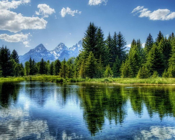 Анжела Рыжова