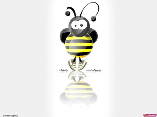 Ирина Ломакина