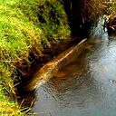 Игорь Зонов