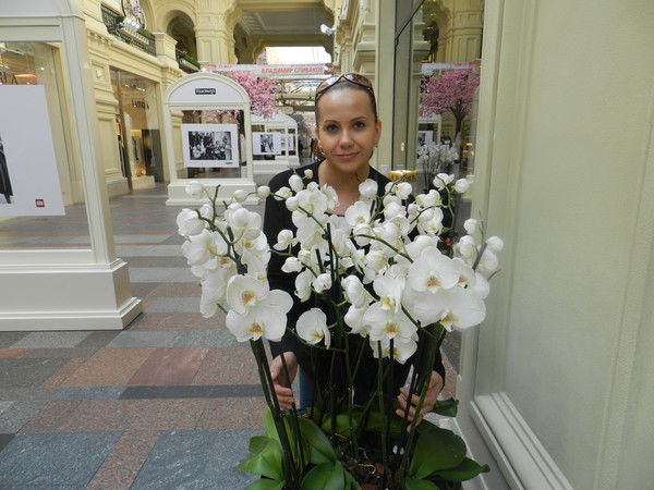 Елена Лапшина