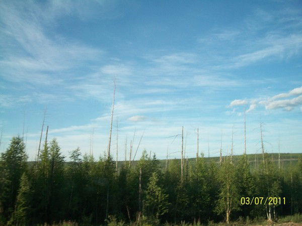 Сергей Сергеевич