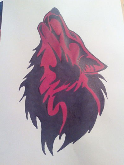 Коля Харлашкин