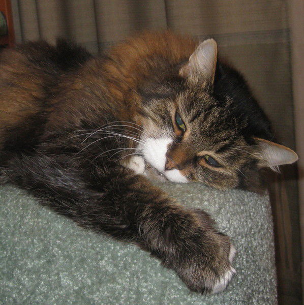 Татьяна Лукьянова