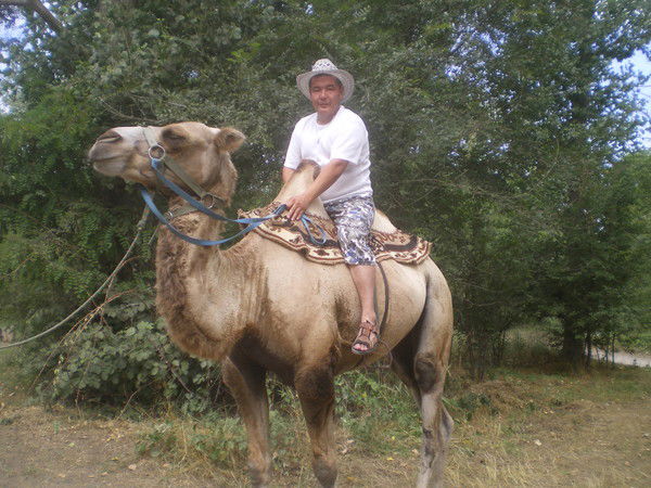 Нил Загитов