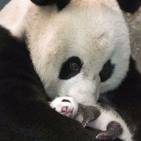 Детская Поликлиника