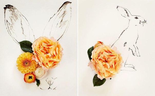 Маргарита Носкова