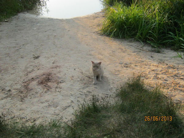 Анатолий Зинцов