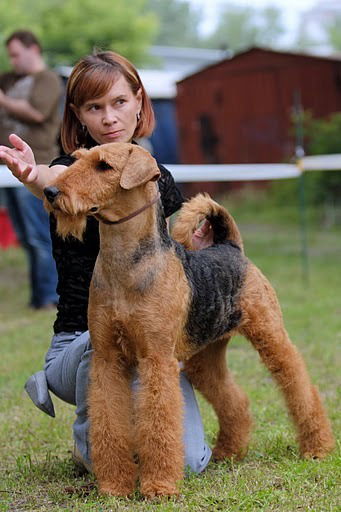 Кристина Звягина