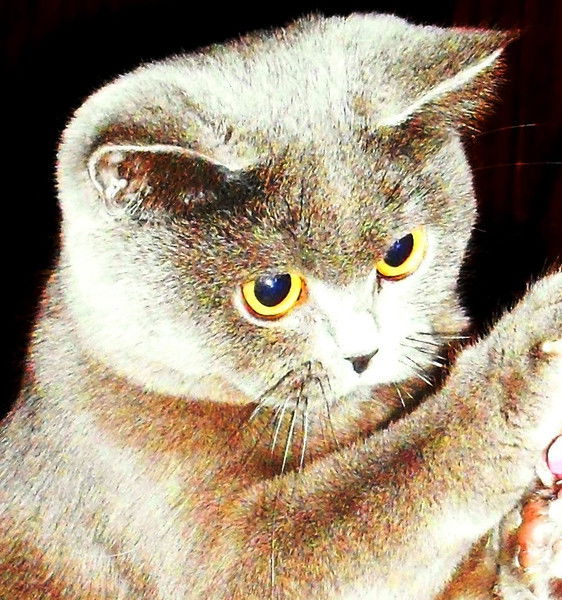 Каролина ***