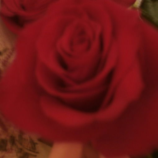 Евгения Янковская