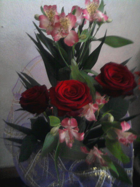 Лилия Дегтярь