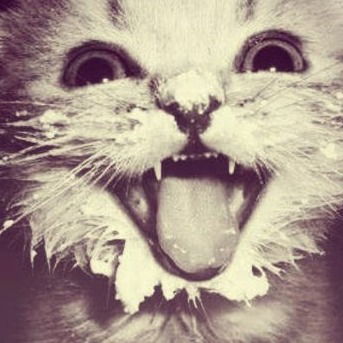 Кристя Есина