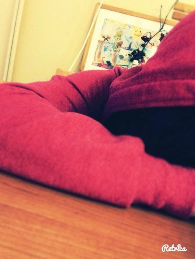 Алена Брандина