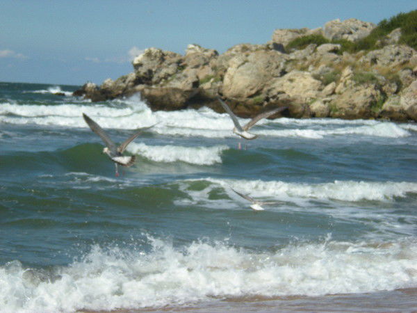 Надежда Якушева