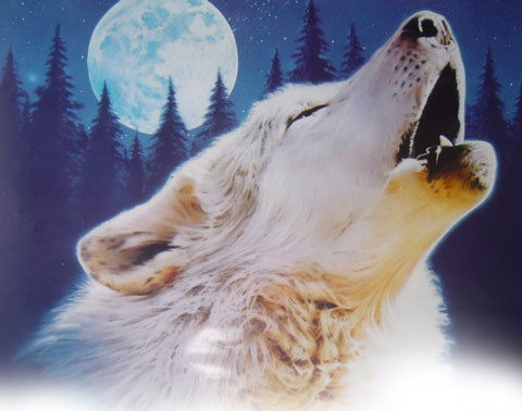 Марсианка ; )