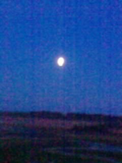 Алёна Князькова