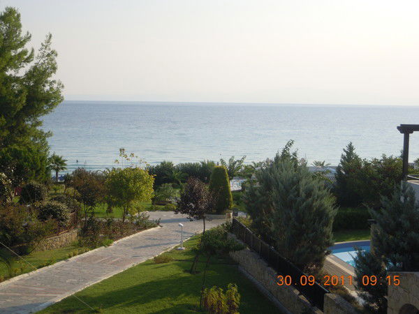 Елена Прохасько