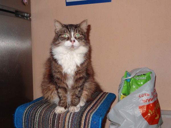 Александр Резников