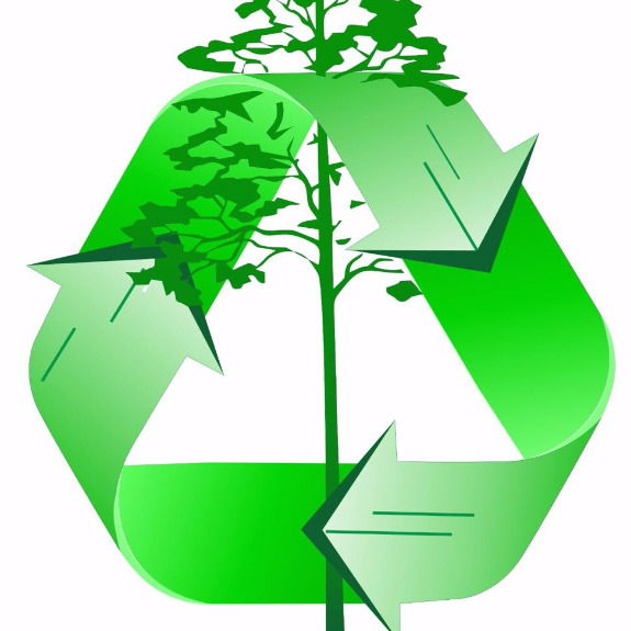 Санаторий Зеленый Бор