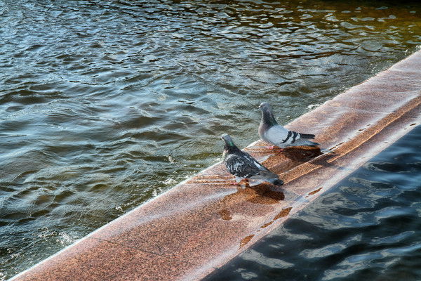 Гулюм Самекеева