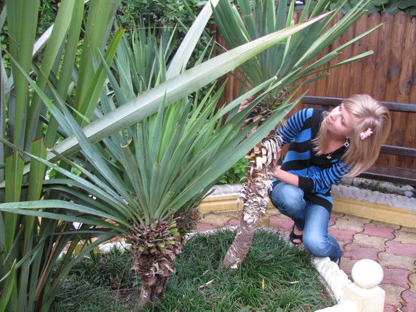 Татьяна Цветкова